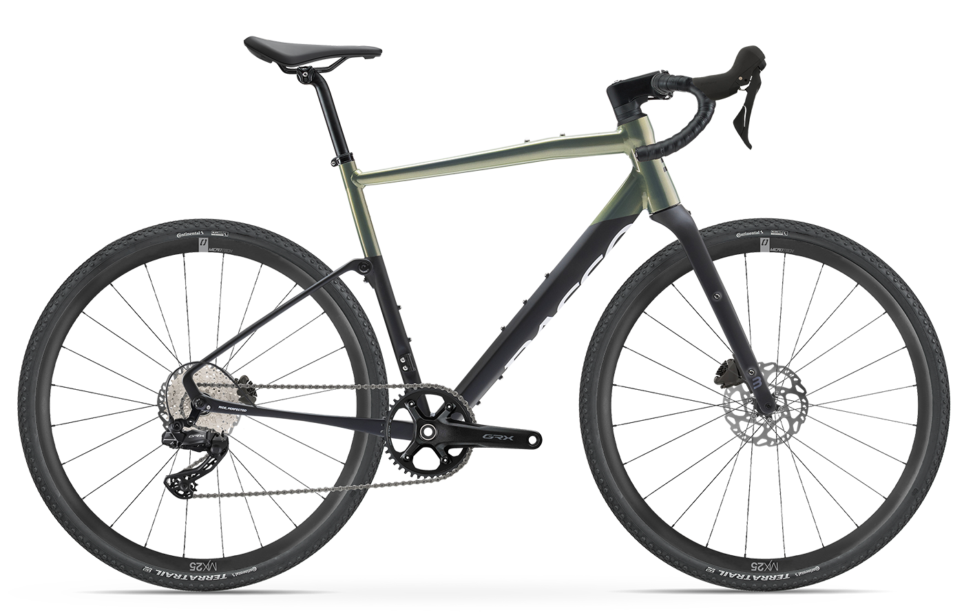 Basso Tera